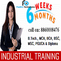 Industrial Training Courses in Greater Noida, Noida, Delhi | Live Project Based Training in Greater Noida, Noida, Delhi